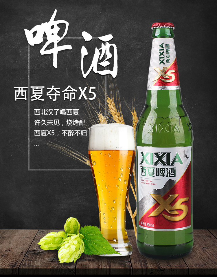 宁夏西夏啤酒夺命x5 玻璃瓶装600ml* 12瓶 精酿啤酒夺命啤酒 小麦酿造