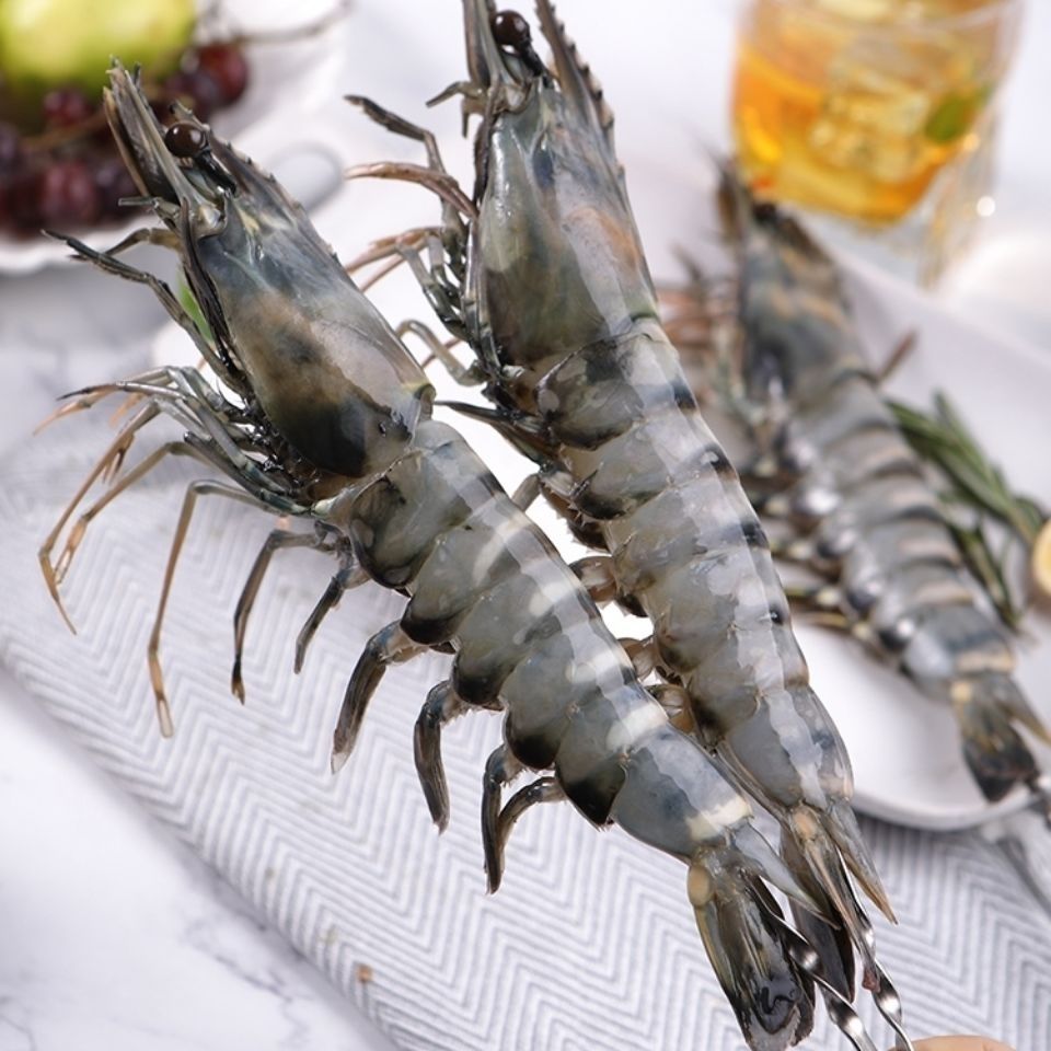 福建海捕黑虎虾新鲜大草虾鲜活海鲜冷冻水产九节虾斑节虾食材 丽鲜玫