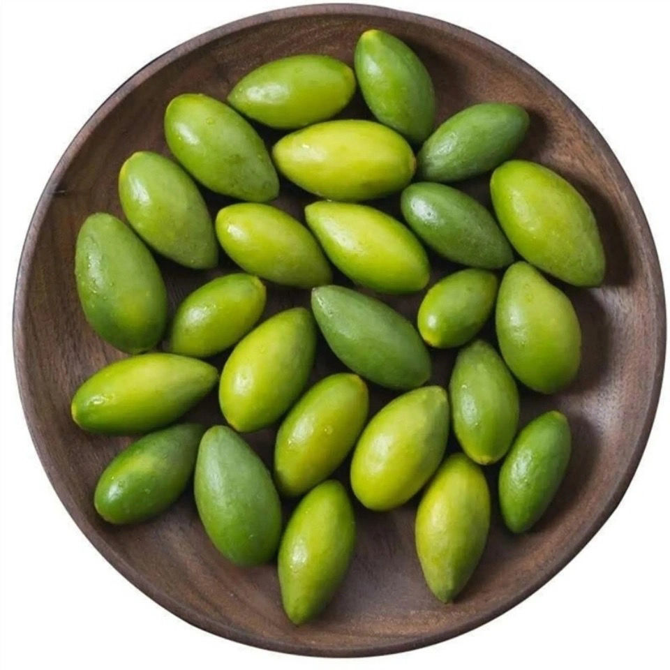 轻恋甜橄榄特甜甜种金灶橄榄果甜生吃酥脆无渣甘甜青翠生橄榄好吃son