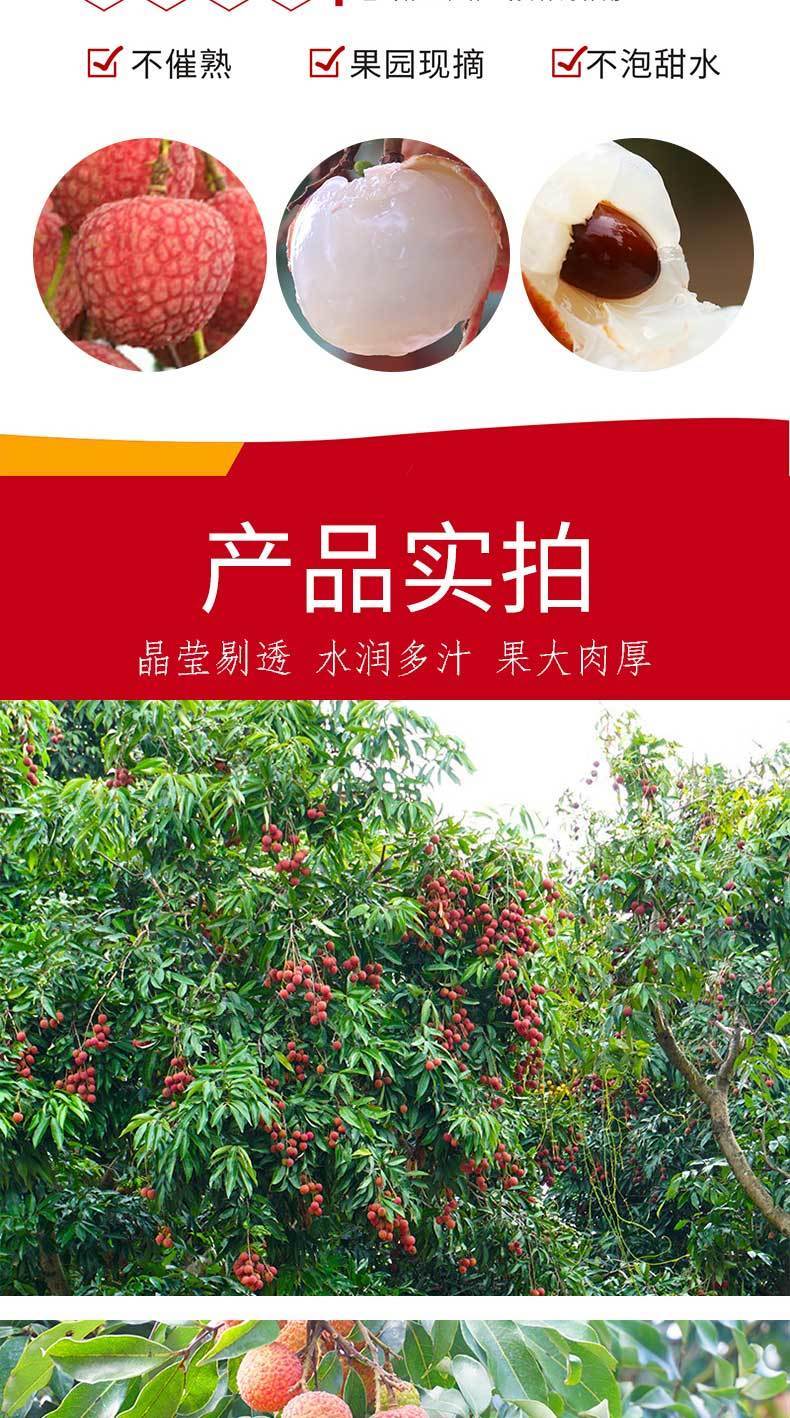 eb0ae177a8f8a6bc.jpg