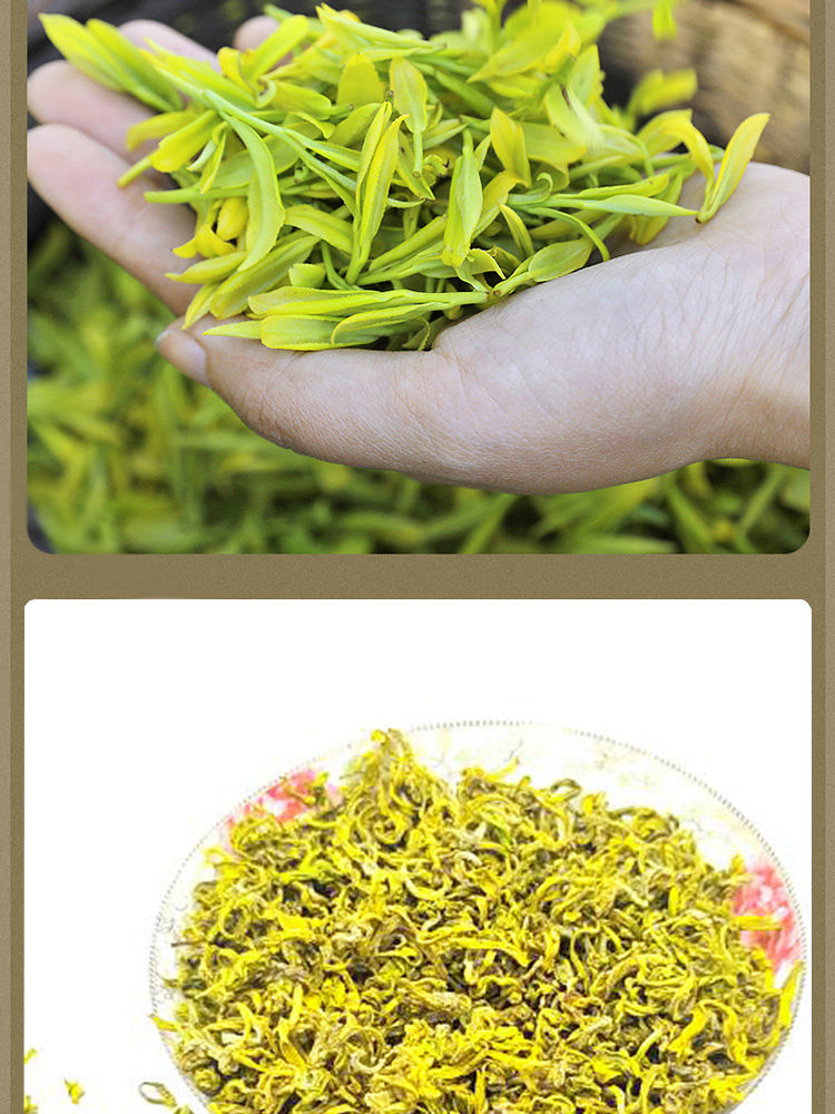 手工茶手工黄金芽2022新茶批发卯山仙绿茶浓香礼盒装送礼手工黄金芽