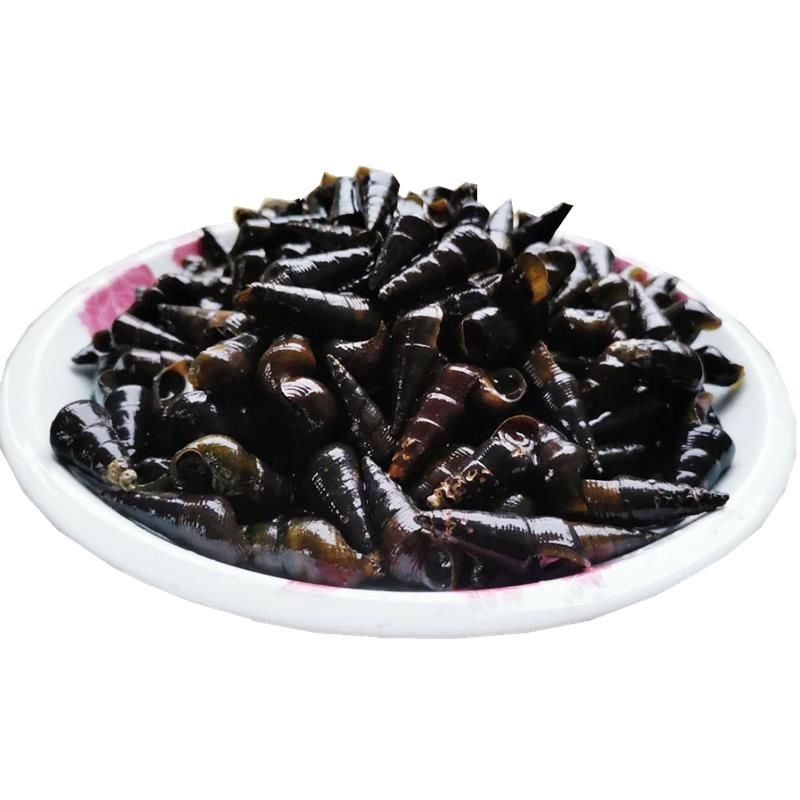 广西 新鲜山坑螺 野河坑螺 黑钉螺 黑螺 长螺丝 山螺特产 2斤去尾巴