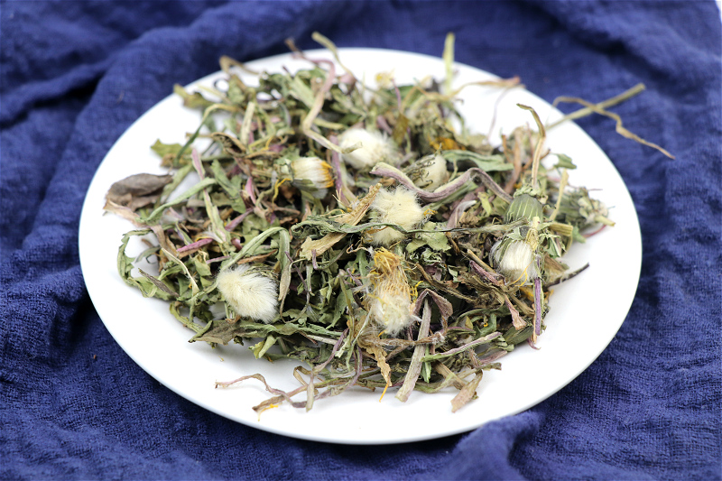 中药材蒲公英500克非整根蒲公英女性蒲公英根新鲜浦公英干