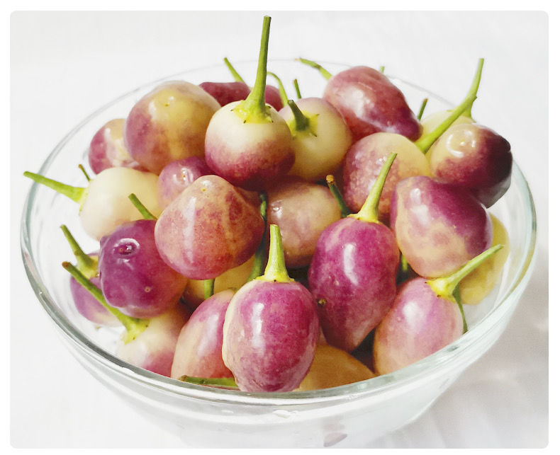 广西七彩椒五彩椒灯笼椒彩色圆辣椒鲜脆辣椒爽口多规格 七彩椒2斤