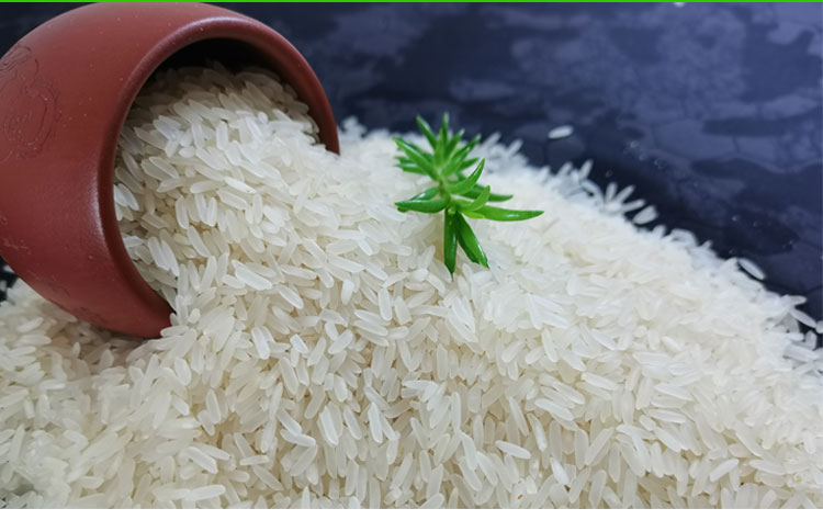 春光岛广西上林一级大米油粘九七97香米煲仔饭米5kg10斤【图片 价格