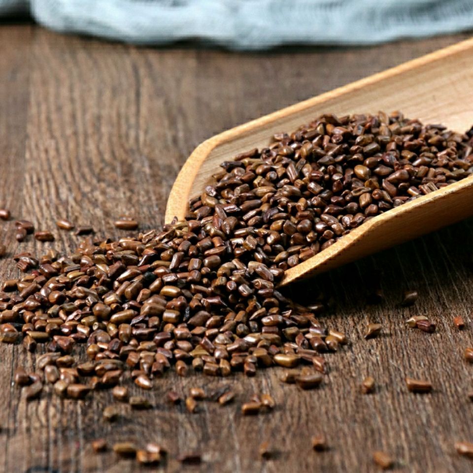 无硫中药材店铺生决明子散装决明子茶草决明 草决明100克【图片 价格