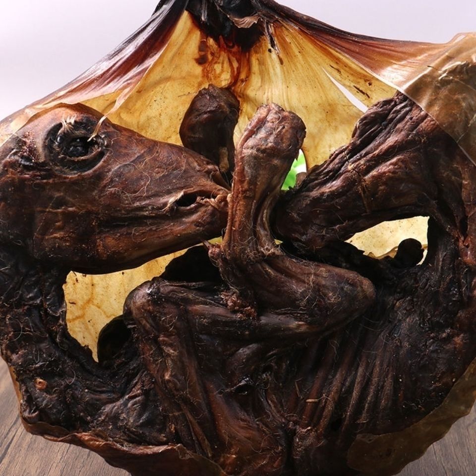 伟博整个梅花鹿胎盘整只干鹿胎鹿胎膏原料鹿胎粉滋补女性子宫气色调整