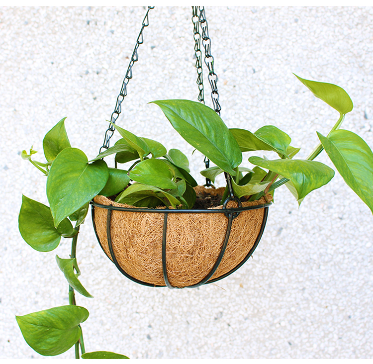 春枝韵环保椰棕吊篮铁艺壁挂半壁花篮垂吊花篮架挂墙椰棕垫垂吊花盆