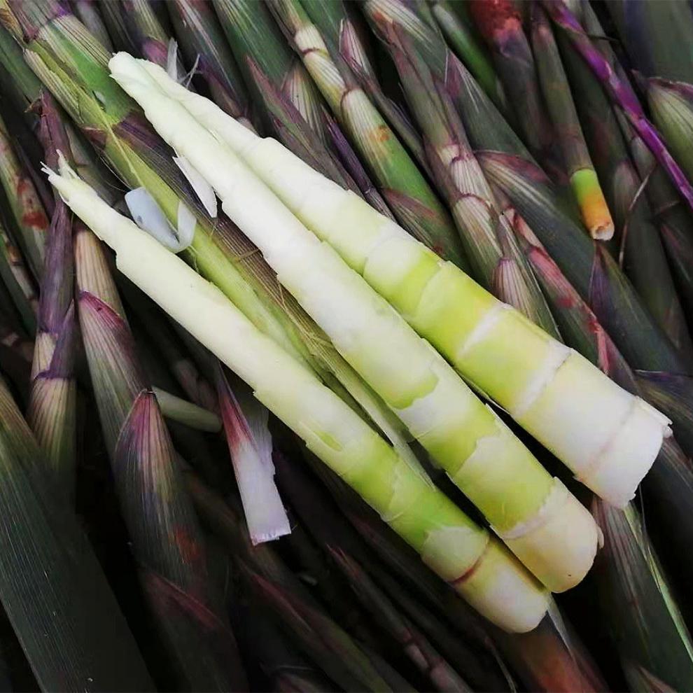 新鲜小竹笋江西野生小甜笋带壳现挖现发现拔小春笋时令蔬菜新鲜小竹笋