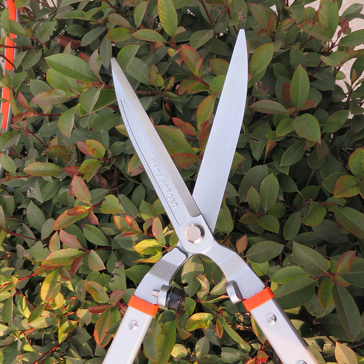 原装省力锻造绿篱笆剪绿化黄杨修造型家用花园草坪平剪刀 刘盛219f