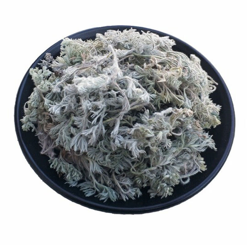 野生三月茵陈蒿中药材整颗500g白蒿新鲜晒干绵茵陈棉茵陈茶精选茵陈