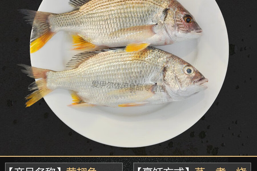 湛江黄翅鱼黄鲷鱼水产深海鱼鲜活黄脚立3斤 1500g【图片 价格 品牌