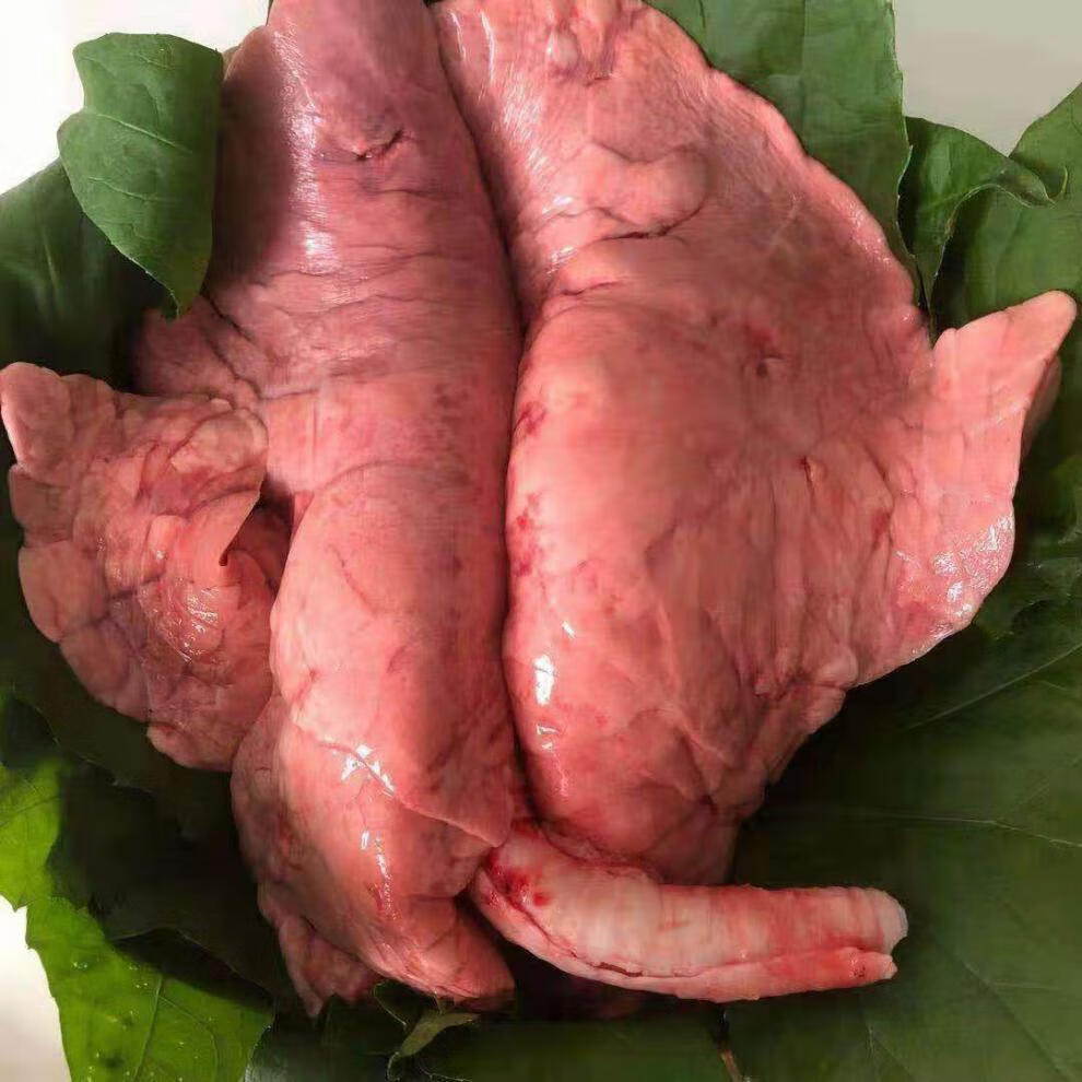 新鲜猪肺子生猪肺子猪肉生鲜买两个赠一个共三个一个2斤左右