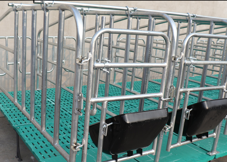 新型母猪定位栏 母猪加厚定位栏猪用半限位栏养猪场设备落地定位围栏