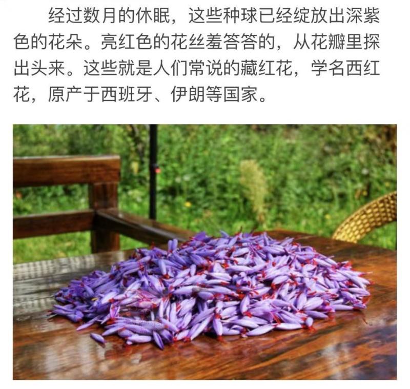 3f124f3b540331a7.jpg