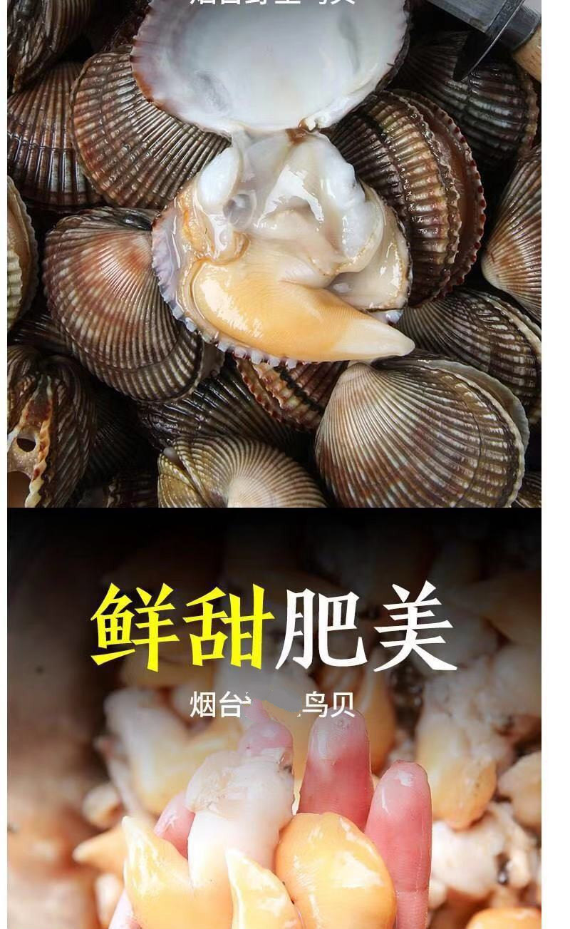 生鲜鸟贝肉现剥黄鸟贝肉刺身鸟贝肉鲜活海鲜锦祥橙白玉贝半斤鸟贝半斤