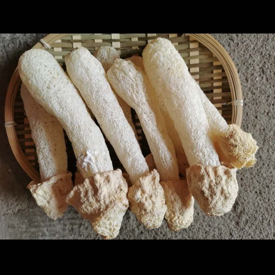 四川竹海山珍竹荪菇竹荪蛋新货无硫展志曼智 30g【图片 价格 品牌