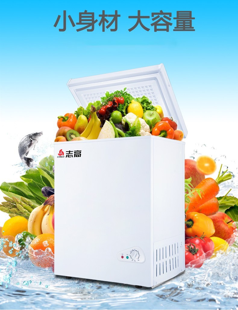 志高chigo小冰柜家用冷冻小型迷你冷柜冷藏节能省电母乳电冰柜bdbc110