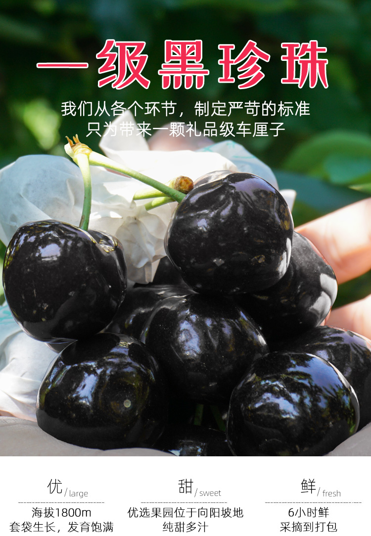 qefh四川汉源车厘子黑珍珠大樱桃水果新鲜汶川现摘大果甜2000g不比