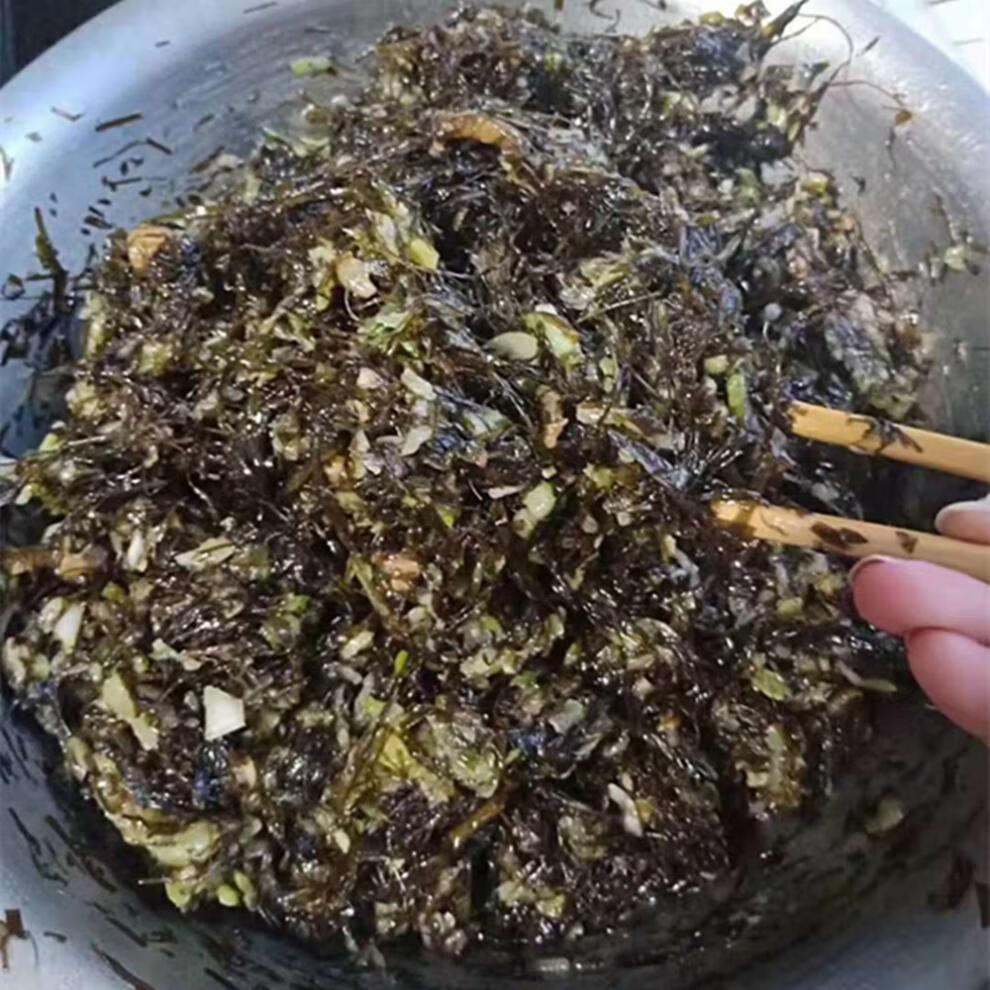 大连海菜包子 海麻线包子 海藻菜龙须菜包子海草菜包子 3袋 1500g