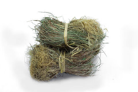 野生中草药材金丝草猫毛草日晒干散装金丝猫毛草250克