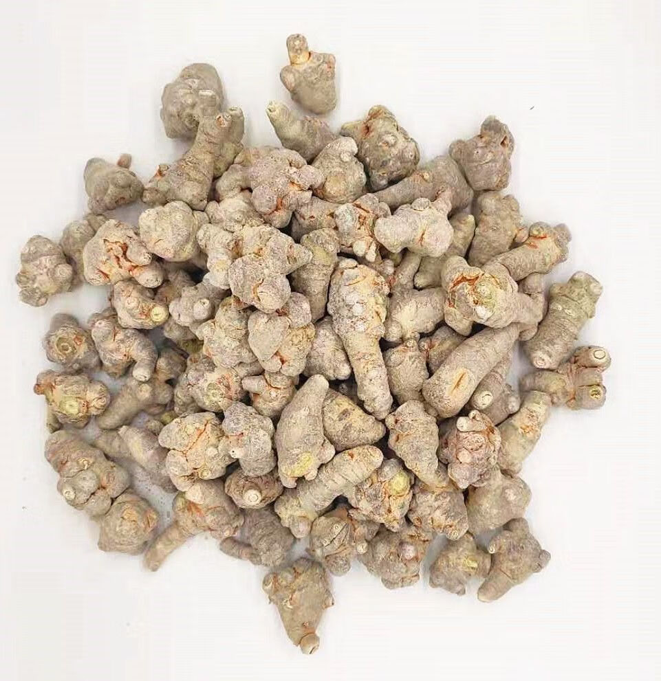 冻干三七头云南文山春田七20头500克特大级冻干三七500g