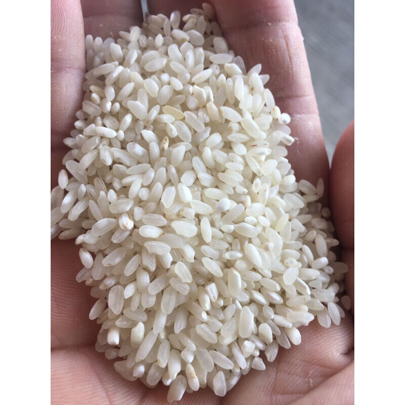 赣香婆 桂朝米珍桂米广东肠粉米早稻米籼米石磨肠粉米老米旧米陈米5