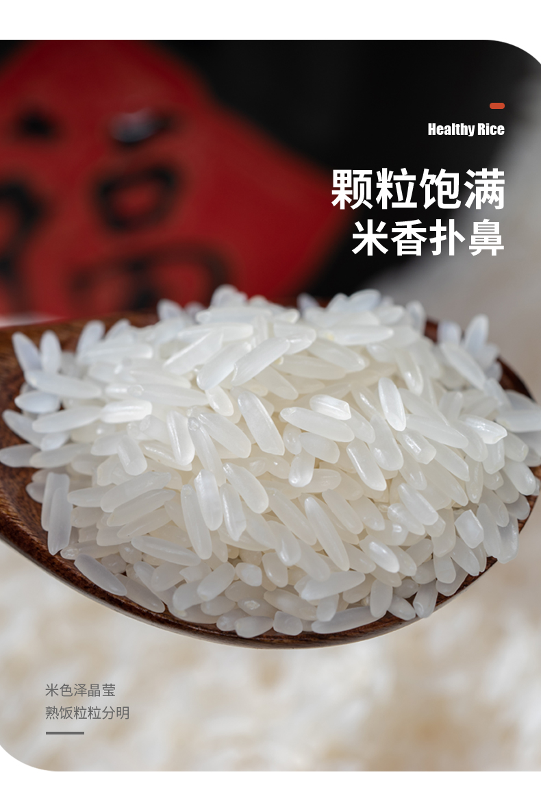 5折新米广西宾阳古辣大米5kg10斤装煲仔饭米长粒香米丝苗米籼米