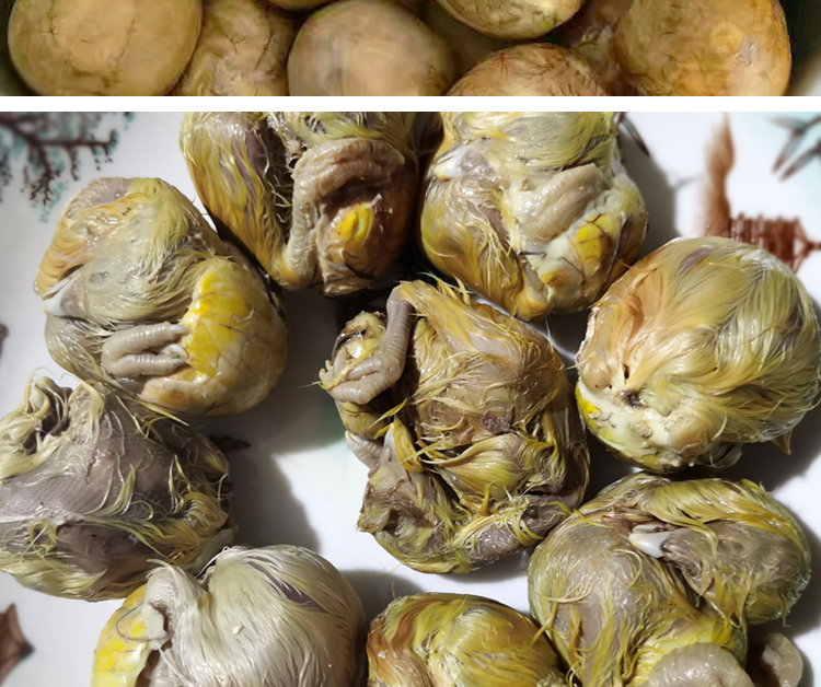 毛鸡蛋鸡胚蛋新鲜毛蛋毛胚蛋天半鸡半蛋生 60枚