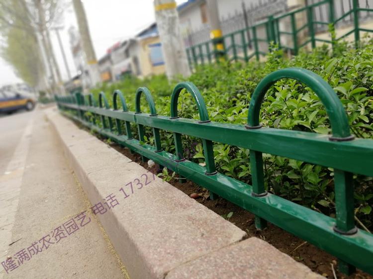 xmsjpvc塑钢绿化草坪护栏学校小区花园绿地围栏路边栅栏绿化带隔离栏