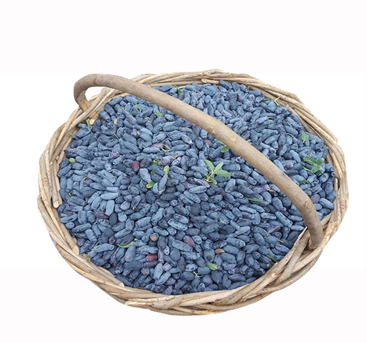 东北伊春野生蓝靛果山茄子新鲜蓝莓羊奶子果黑瞎子果2斤装套餐二