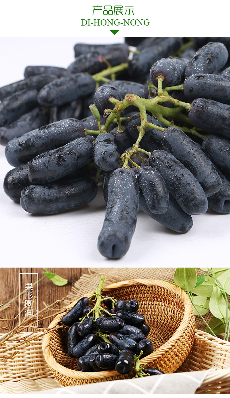 金手指无籽黑提 蓝宝石葡萄 无核新鲜提子 新鲜水果生鲜 礼盒定制款 1