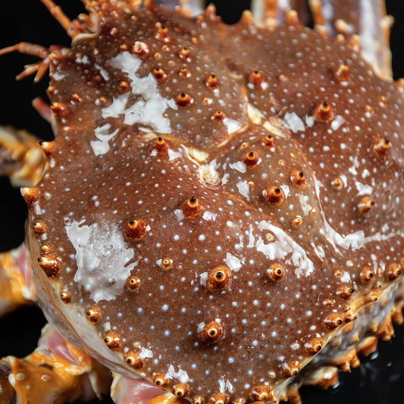 【鲜活】品珍鲜活 俄罗斯蟹大螃蟹6-4斤 活鲜帝皇蟹长脚蟹 海鲜水产 5