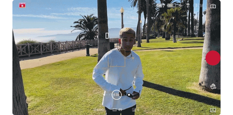 027190f0601ee1c1.gif