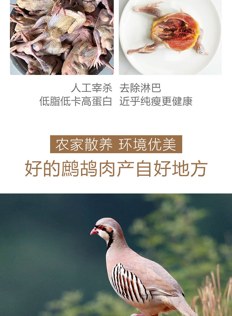 鹧鸪鸟肉 新鲜飞龙肉 现杀 农家老鹧鸪肉 特种养殖 禽类肉类礼盒定制