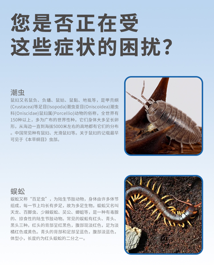 修正杀虫粉剂灭蜈蚣跳蚤除蚰蜒臭虫潮虫马陆粉室内驱虫