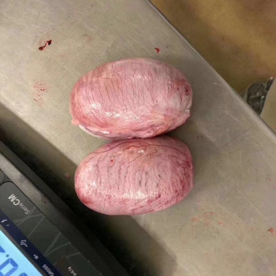 新鲜猪蛋 猪宝 猪卵 猪囊丸 猪睾丸大补佳品饭店烧烤20斤 谷言牧场 收