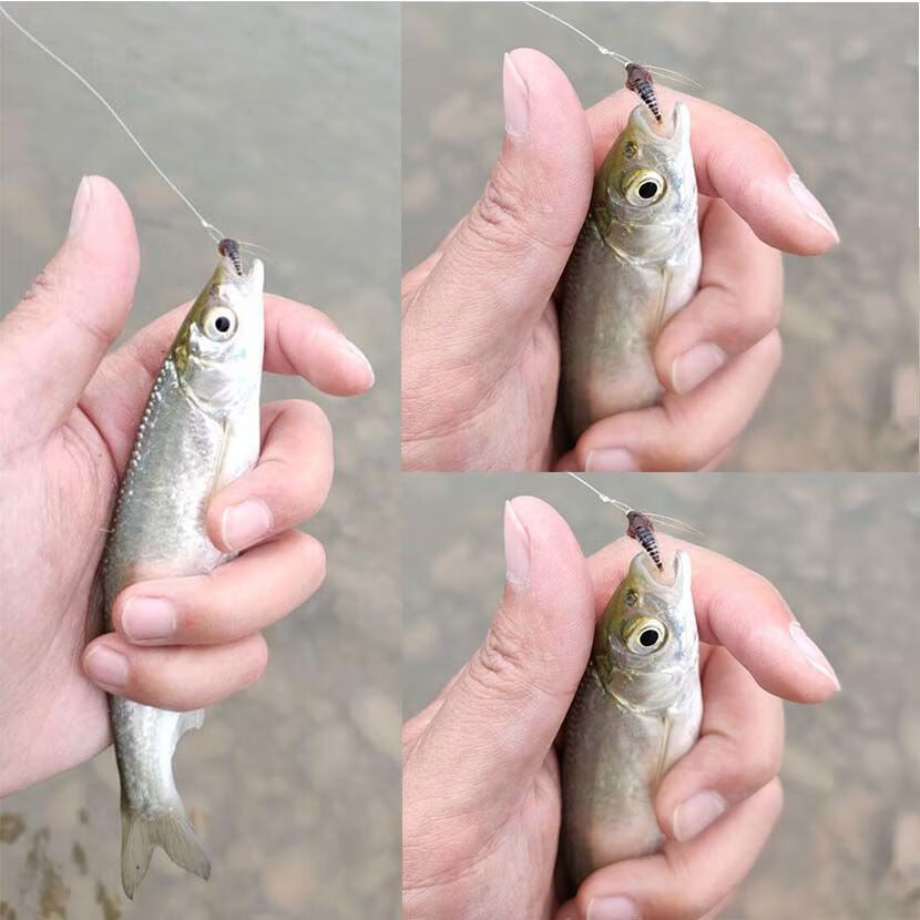 飞蝇钩白条马口翘嘴若虫蛆虫路亚飞钓昆虫假饵翘嘴黑鱼鲫鲤 红色6枚