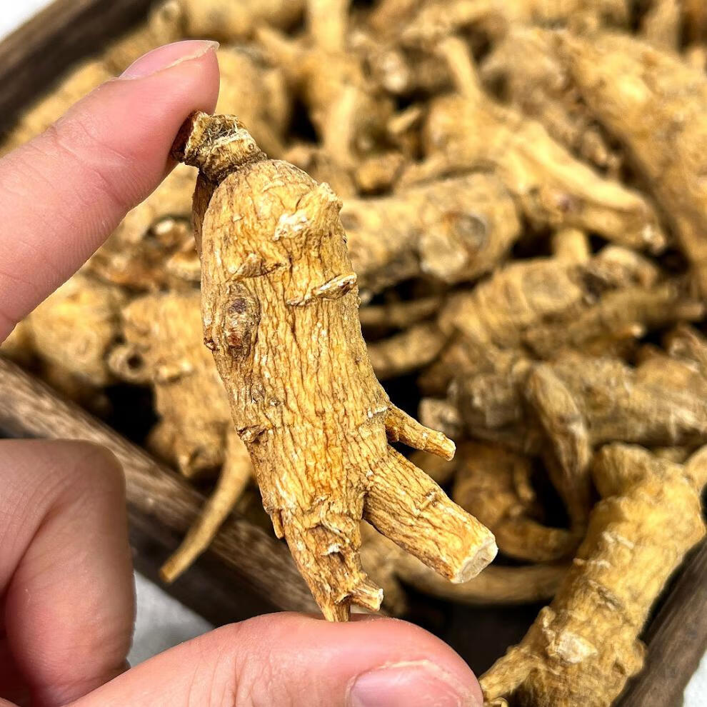 西洋参 3克5克10克规格齐全 软枝原枝花旗参段整枝粒头 10克原丛