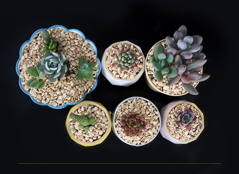 硅藻土颗粒种植介质多肉铺面石子兰花火烧土媲美赤玉土守宫垫材