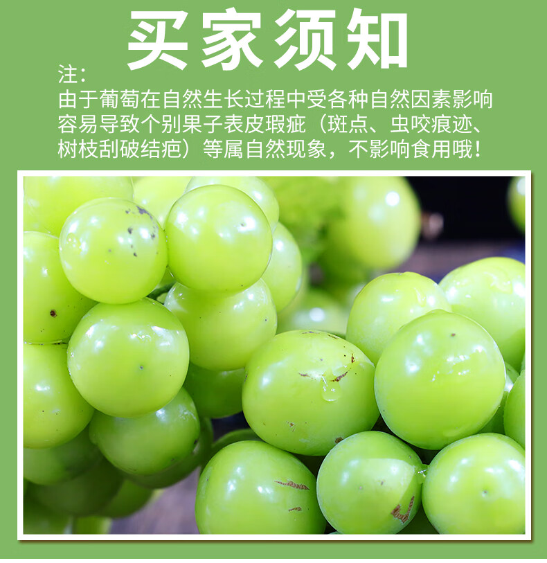 阳光玫瑰单果晴王无籽香印青提子葡萄重约8 当季新鲜水果礼盒装 礼盒