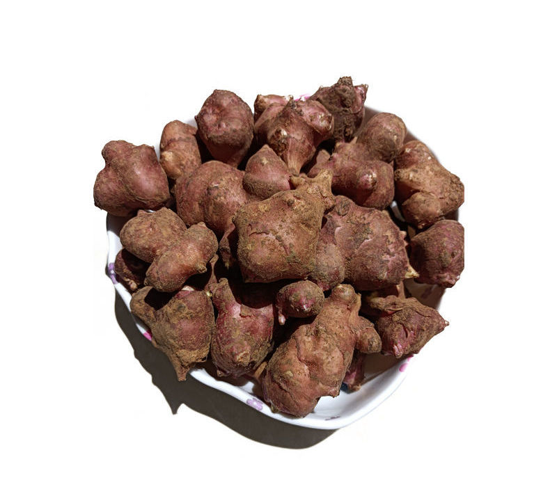 现挖新鲜红果洋姜不辣鬼子姜可腌制成泡菜咸菜10斤