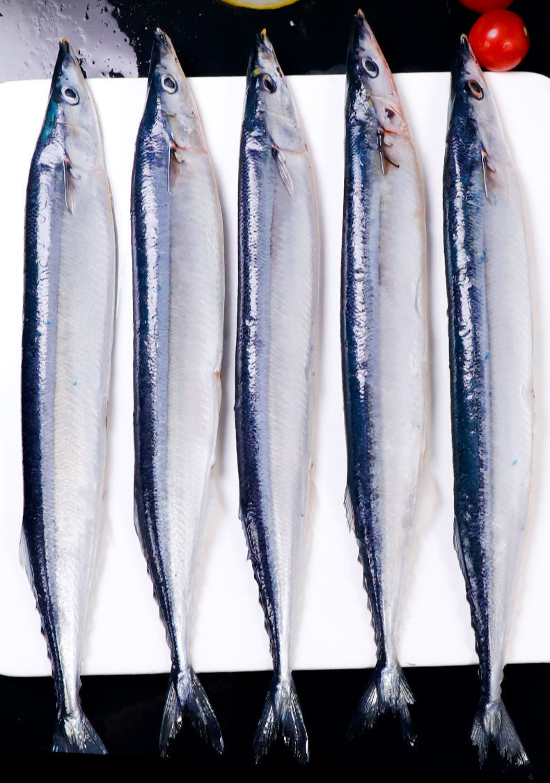 秋刀鱼新鲜冷冻大号鲜活海捕深海鱼日式秋刀鱼烧烤即食食材整箱圣梦