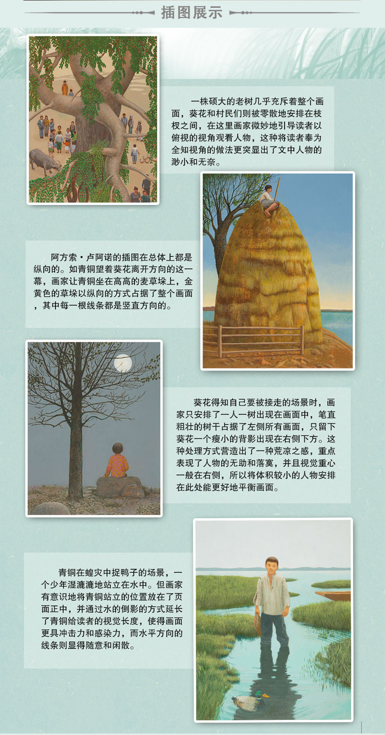 《青铜葵花插画版曹文轩著经典儿童文学校园情感小说青少年读物儿童