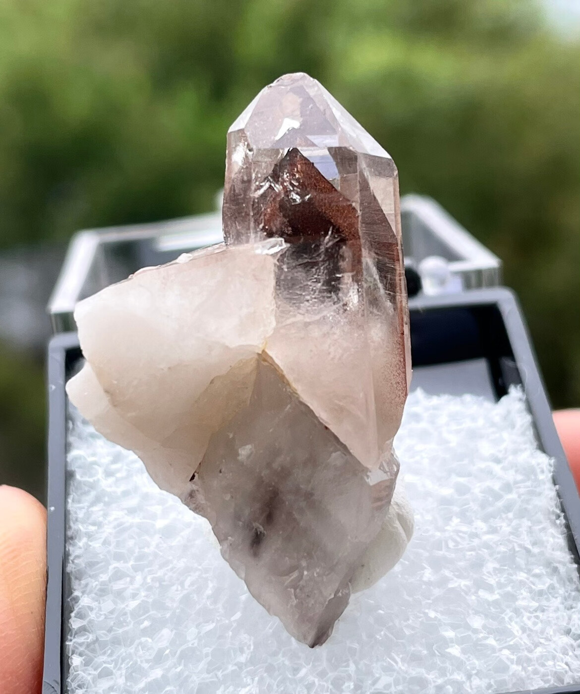 vieruodis【精选好货】原石摆件收藏品幻影水晶草莓水晶石包裹赤铁矿