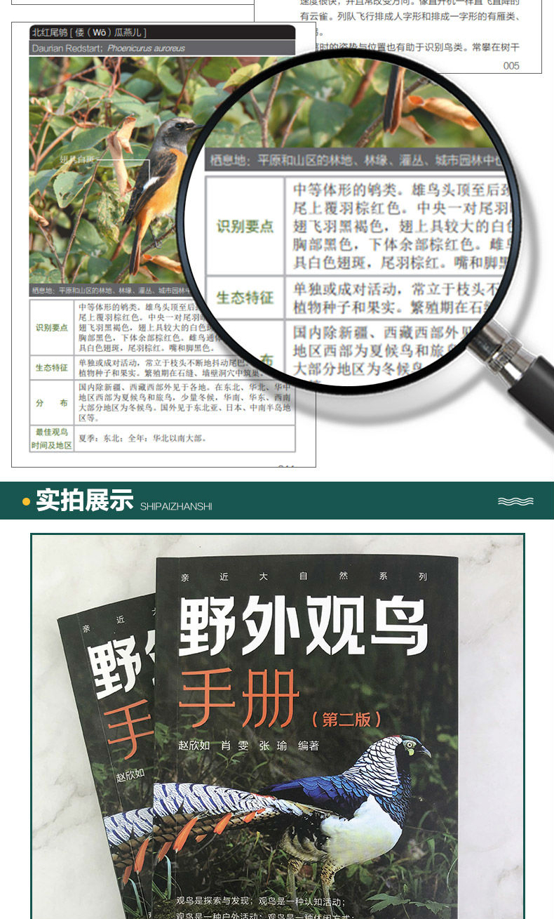 野外观鸟手册第二版368种野外鸟类图鉴大全中国野鸟观察手册鸟类品种