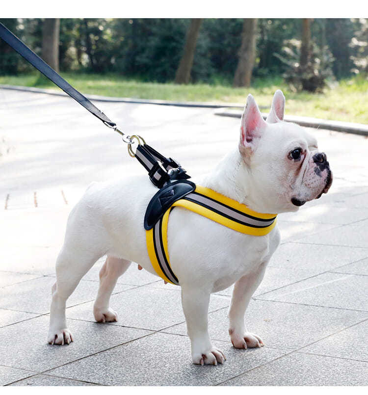 法斗狗绳宠物三角胸背带泰迪巴哥柯基雪纳瑞背心式牵引绳中小型犬
