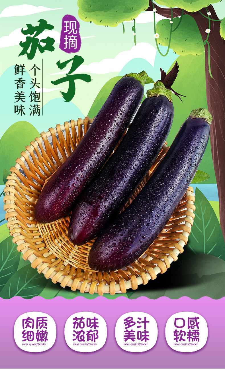 新鲜长茄子紫茄子当季农家自种长线大茄子黑嫩现摘 1500g【图片 价格