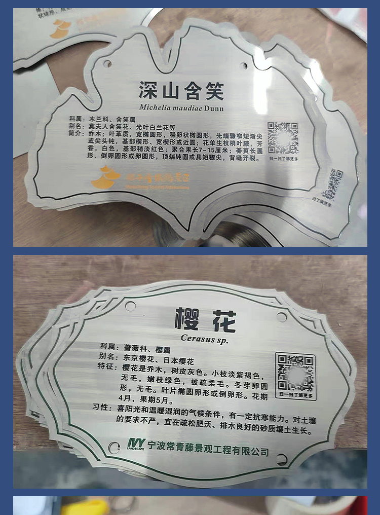 不锈钢树牌卡树木介绍牌学校树木认领卡公园植树节树牌设植物绿化信息