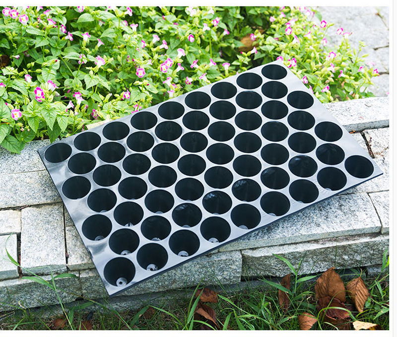 蔬菜玉米种子西瓜苗辣椒育苗盘批发圆孔穴盘烟苗育苗盘托盘加厚 劲胜